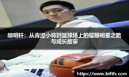 B体育bsports