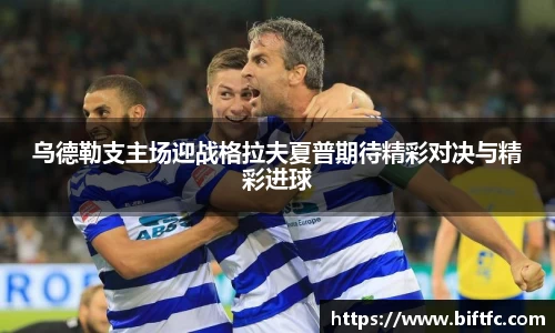 B体育bsports