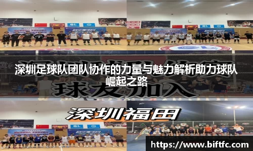 bsports官网入口