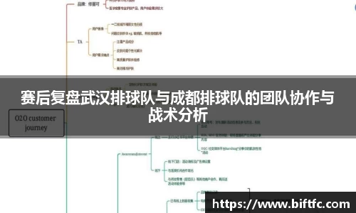 bsports官网入口